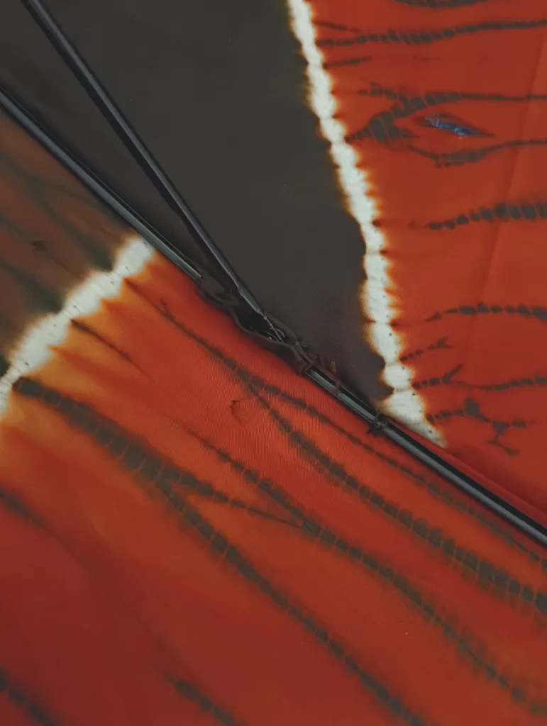 日傘の骨の修理